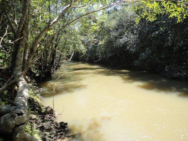 Chácara com 7 mil metros, no Vivendas Primavera,km 10 da Estrada da Guia - Foto 6