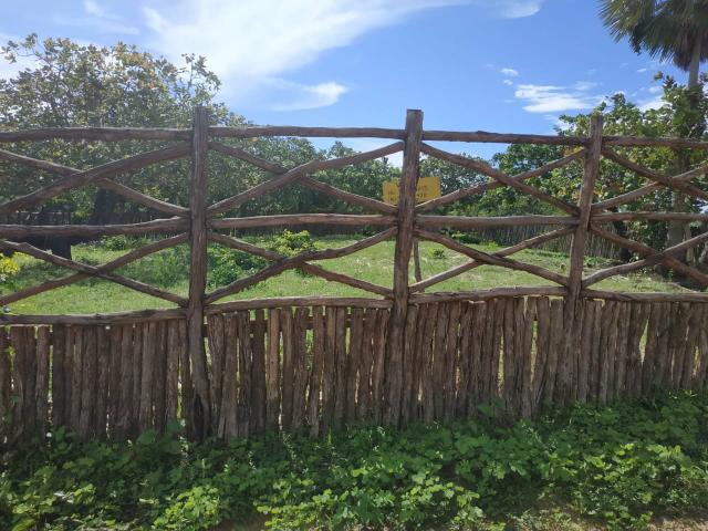 Vende-se terreno em Barra Grande - PI - Foto 4