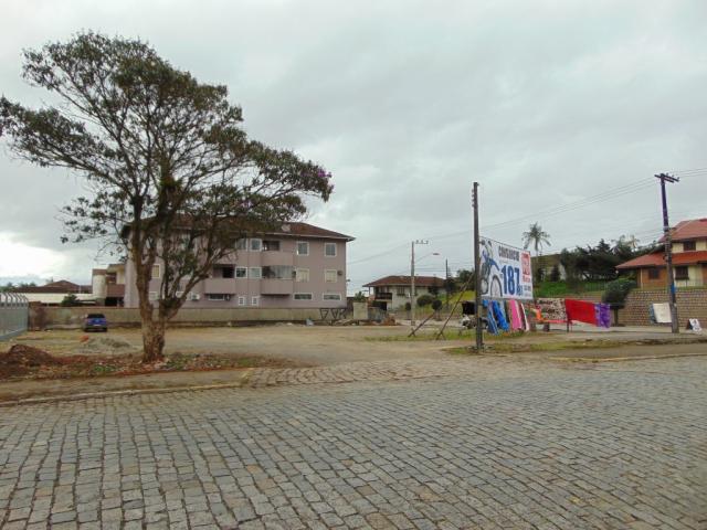 Terreno para alugar em Pirabeiraba, Joinville cod:06691.009