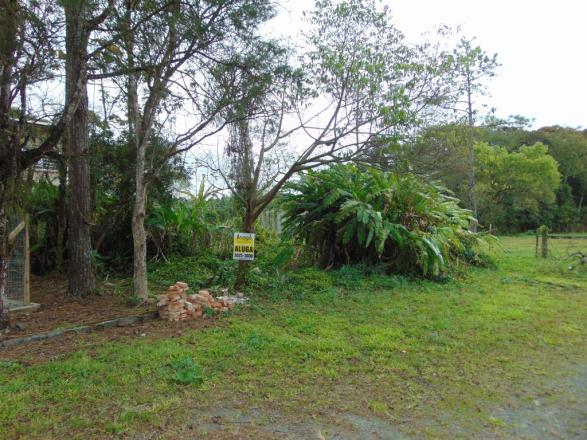 Terreno para alugar em Zona industrial norte, Joinville cod:06691.007