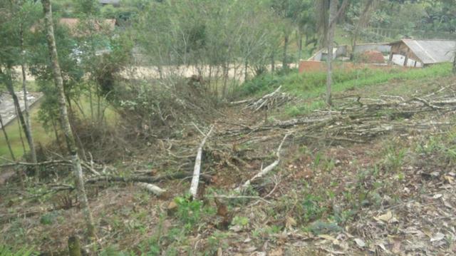 Terreno parcelado alto gasparinho - leia o anúncio