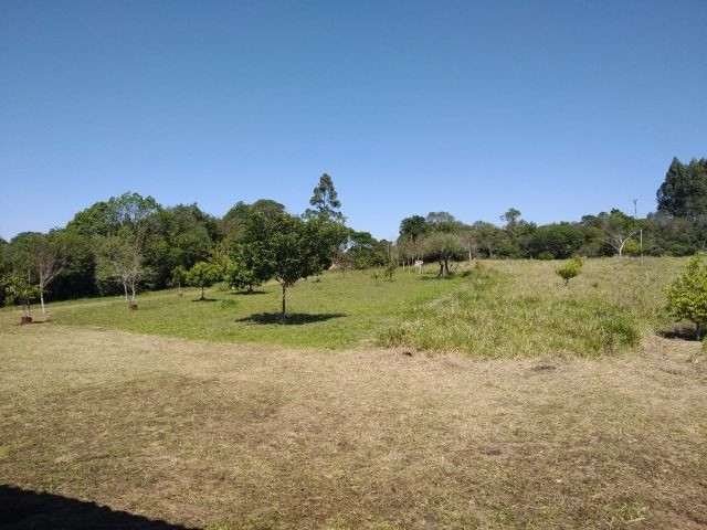 Velleda oferece sítio com 3 hectares, casa nova pastagem e frutíferas - Foto 6