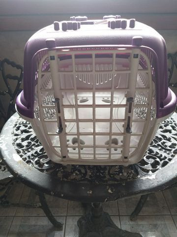 Caixas para transporte de gatos