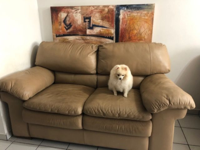 Sofá - Foto 3