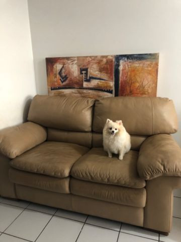 Sofá - Foto 2