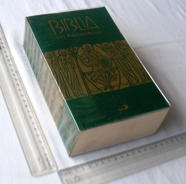 Livro Religioso - Bíblia do Peregrino - Luís Alonson Schökel - 2002