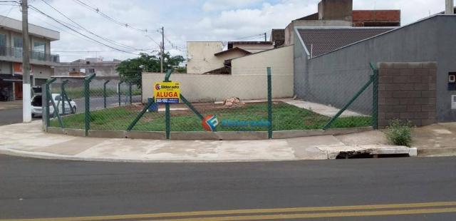 Terreno para alugar, 325 m² por R$ 700,00/mês - Jardim Novo Cambui - Hortolândia/SP - Foto 4