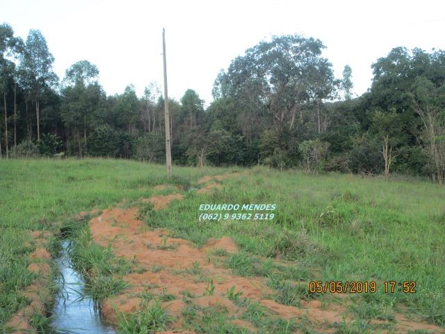 Chácara de lazer c/ água a 1 km de Gameleira de Goiás - Foto 9
