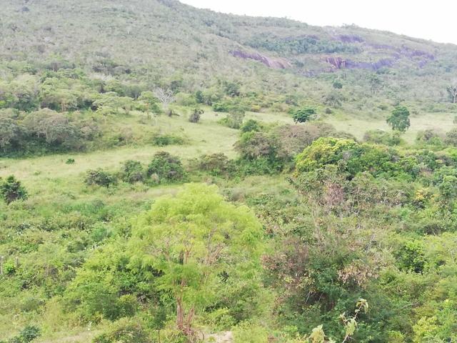 Fazenda de 945 hectares em Minas Gerais - Foto 7