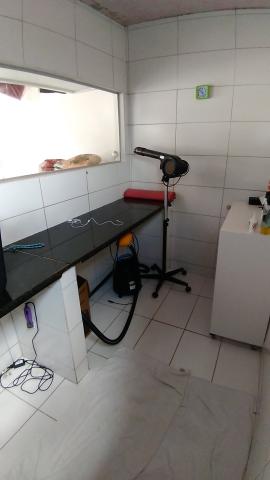 Petshop / Banho e Tosa completo - Foto 9