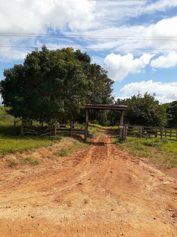 Venda fazenda 20 alqueires localizada 5 km da vila Paulo fonteles - Foto 5