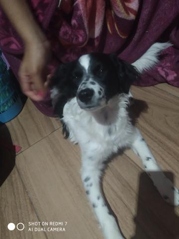 Doação - Foto 3
