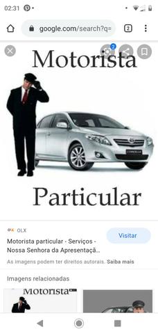 Motorista particular