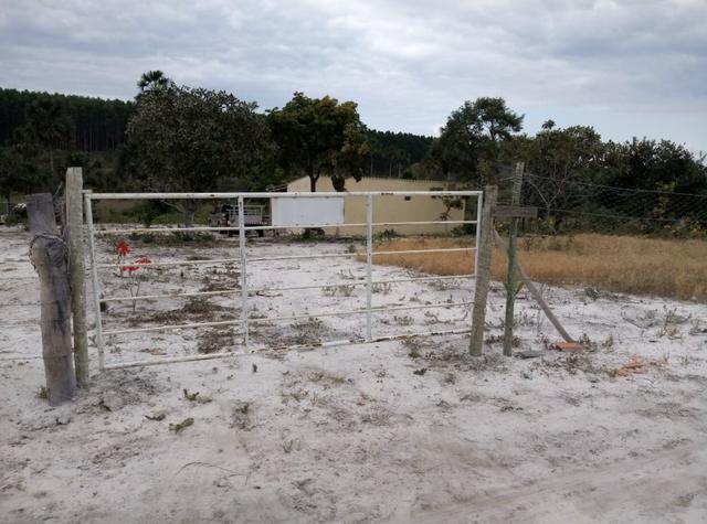 Sitio no Formoso - Buritizeiro MG - Foto 7
