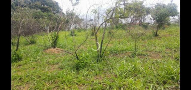 Troco ou Vendo Terreno ( faça sua proposta é fazemos negócio )! - Foto 3