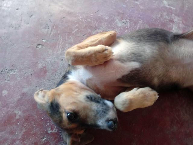 Doação