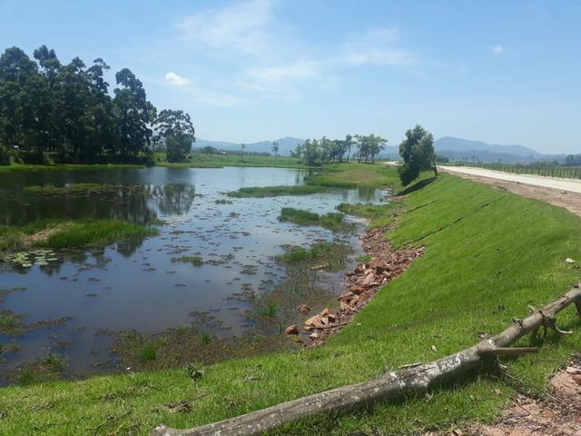 Terreno Plano Tijucas Nova Descoberta 450m2 Documentação ok - Foto 3