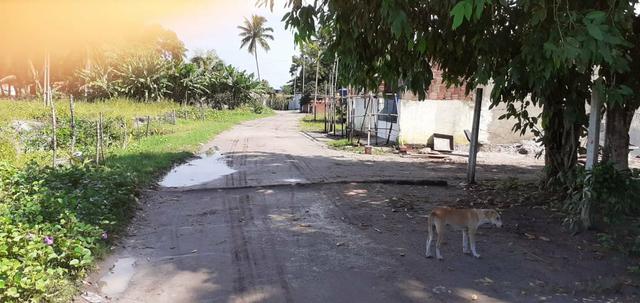 Casa na Usina Salgado á 10 Km de porto de Galinhas - Foto 8