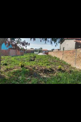 Terreno Iha de Barra Grande em Vera Cruz-Ba - Foto 2
