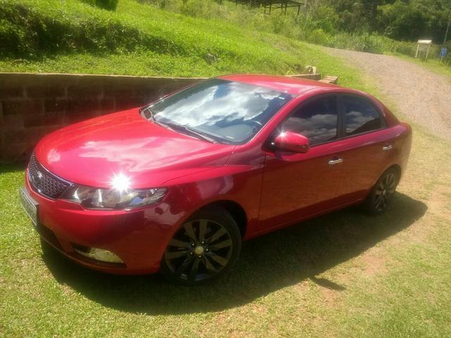 Cerato