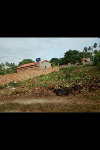 Terreno Iha de Barra Grande em Vera Cruz-Ba - Foto 3