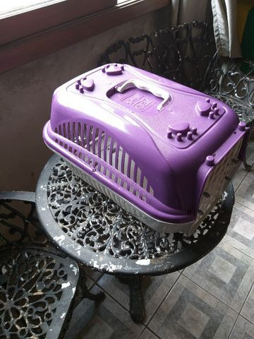 Caixas para transporte de gatos - Foto 3