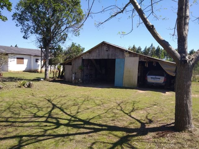 Velleda oferece sítio com 3 hectares, casa nova pastagem e frutíferas - Foto 5