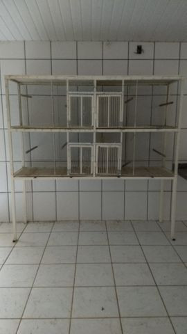 Viveiro Para Aves e Calopsitas