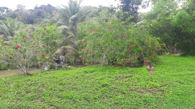 Sitio em Lençois - Foto 2