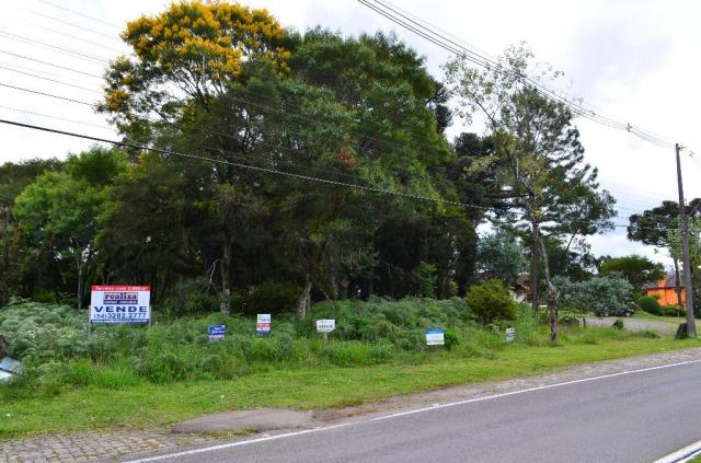 Terreno à venda, 5000 m² por r$ 3.500.000,00 - vila suica - canela/rs - Foto 12