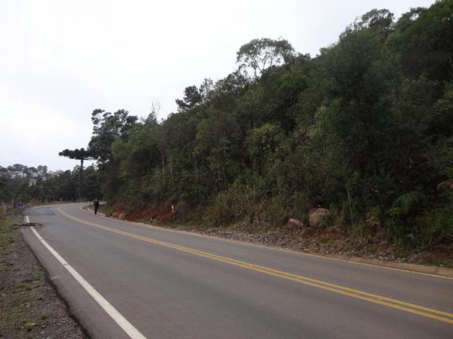 Área rural à venda, linha bonita, gramado. - Foto 4