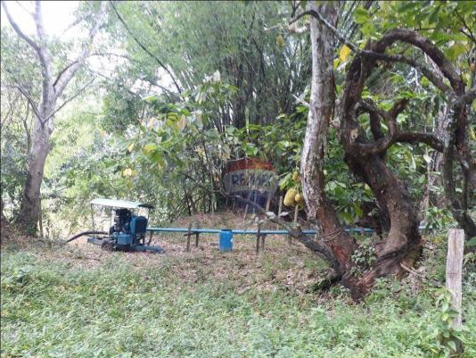 Fazenda à venda em Porto Seguro (Vera Cruz), Bahia - Foto 7