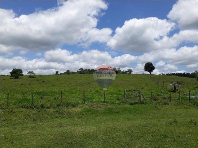 Fazenda à venda em Porto Seguro (Vera Cruz), Bahia - Foto 11