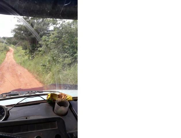 1100 Hectares, cerrado e mata, argilosa, vizinhos Soja, Região, Juína,Brasnorte-MT,Ocasião - Foto 3