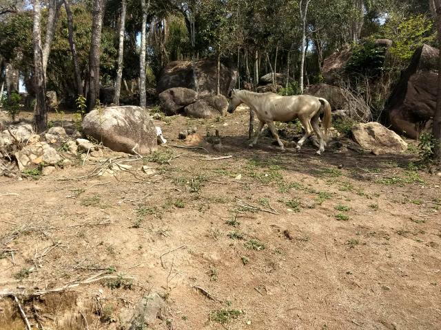 Pensa em um lugar tranquilo ! - Foto 5