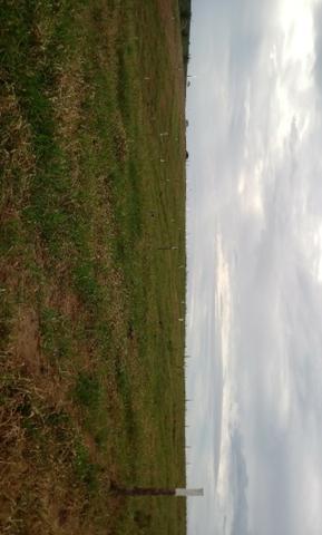 Lotes - Foto 10