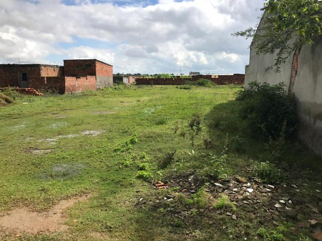 Terreno - Foto 2