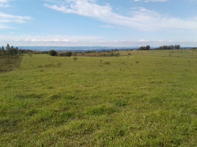 Fazenda de 51 alqueires - Foto 11