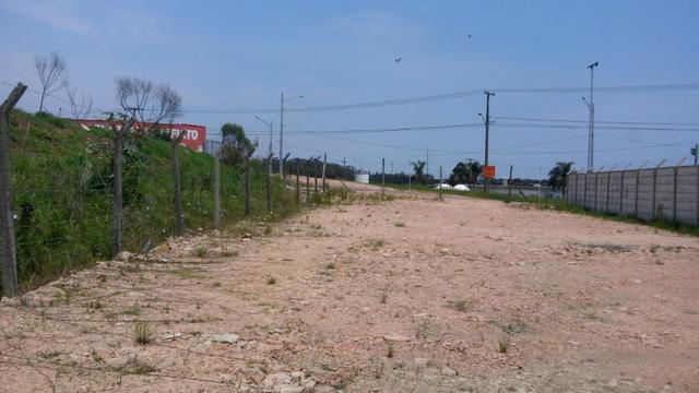 Pinheirinho terreno Linha Verde - Foto 4