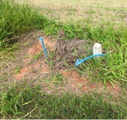 Oportunidade lote 1000 m2º - Foto 7