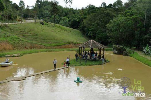Sítio com 8 dormitórios para venda e locação, 29434 m² por R$ 1.040.000 - Zona Rural - Rod - Foto 13