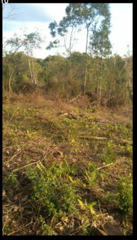 Terreno no Vale dos Vinhedos - Foto 8