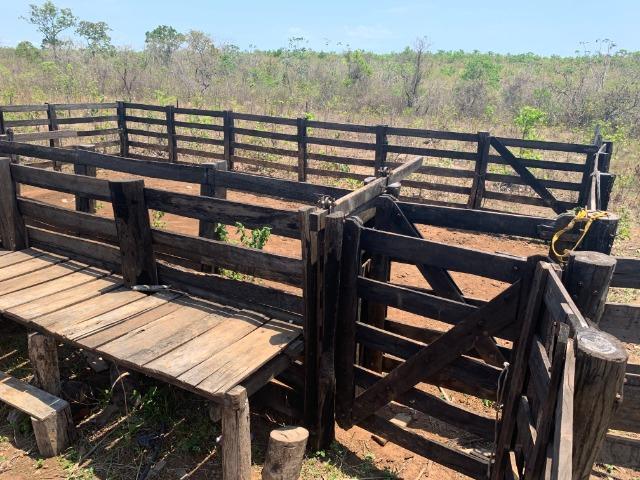 Vendo Sitio / Chácara 72 hectares, Pecuária ou lavoura, Casa, energia, Agua, Nobres - Foto 12