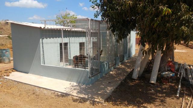 Chácara 6.2 alqueires ( 30 ha ) Águas Lindas-GO 80% permutas - Foto 4