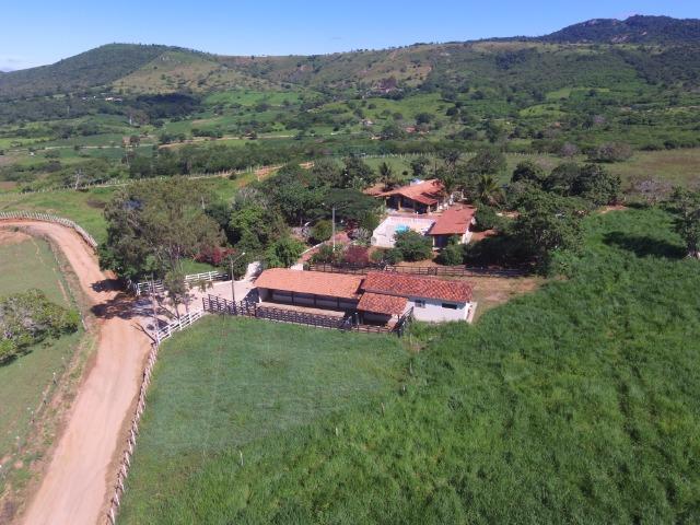 Sítio 12 Hectares c/ Casa sede de 3 Quartos em Serra Negra - Foto 7