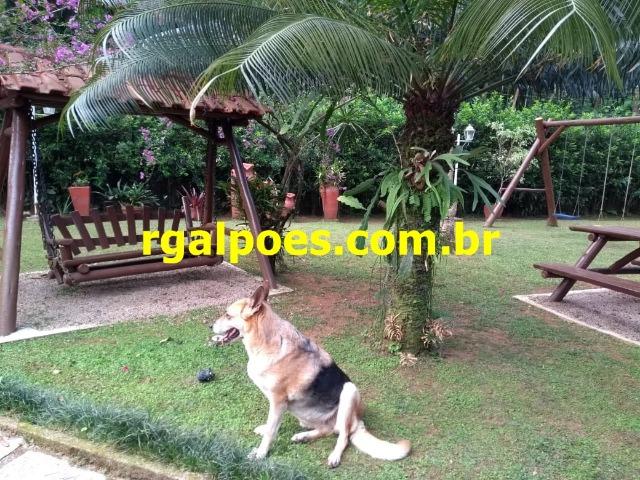G 1423, Sítio de 2.000m² com piscina, churrasqueira próximo a Rio-Petrópolis - Foto 12