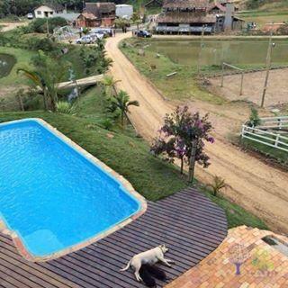Sítio com 8 dormitórios para venda e locação, 29434 m² por R$ 1.040.000 - Zona Rural - Rod - Foto 6