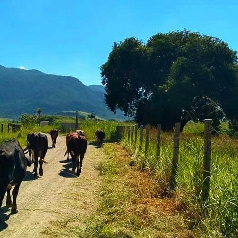 Vendo sítio de 17.718 m2 - Foto 2
