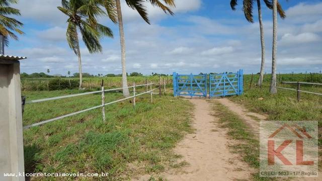 Grande oportunidade, fazenda com 37 hectares, casa sede, em Ielmo Marinho - Foto 7