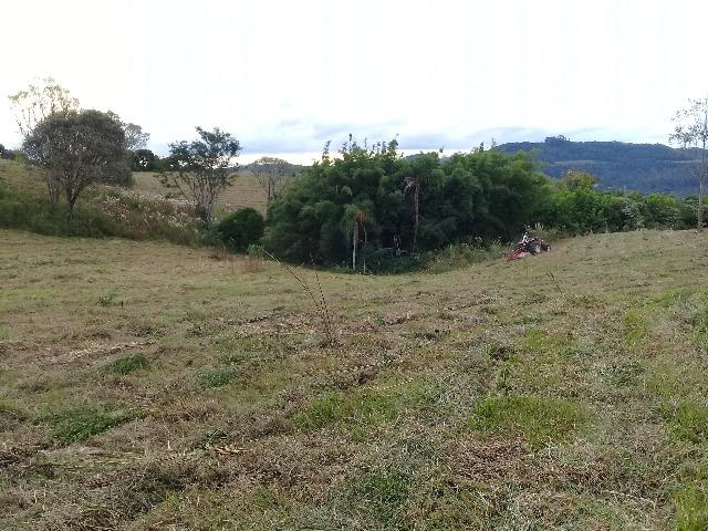 Área de terrras em Cotiporã com 15,9 hectares - Foto 3